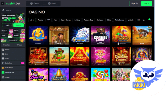 Casho.bet casino spellen bestaat uit enkel top providers